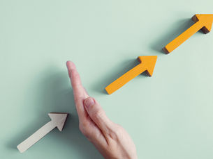 SUPPLY CHAIN GOVERNANCE